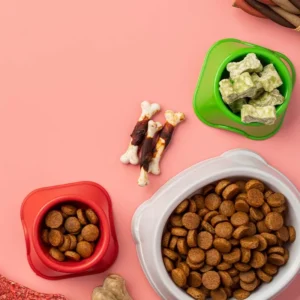 Mascotas