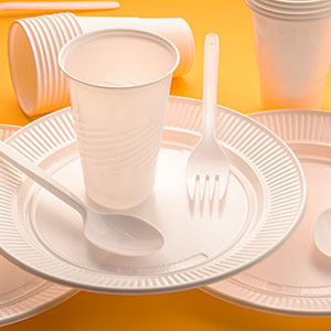 PRODUCTOS DESECHABLES