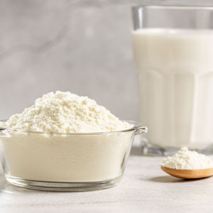 LECHES EN POLVO